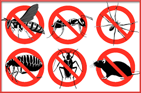 Insect control services