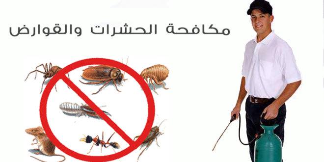 خدمات مكافحة حشرات